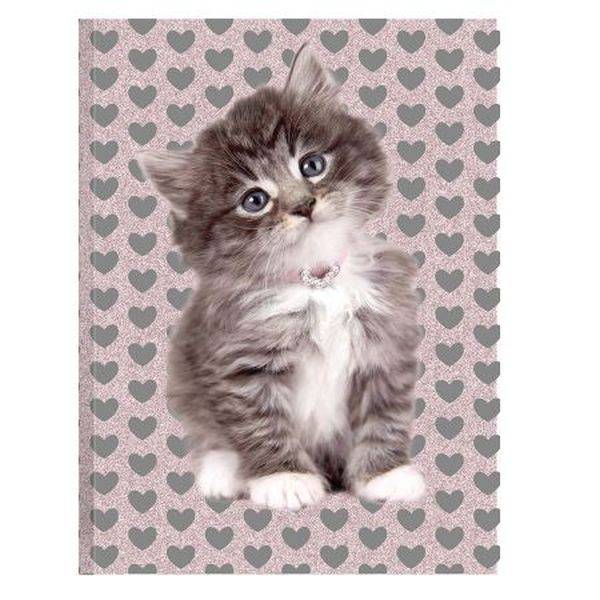 Cicás napló 80 lapos RACHAEL HALE