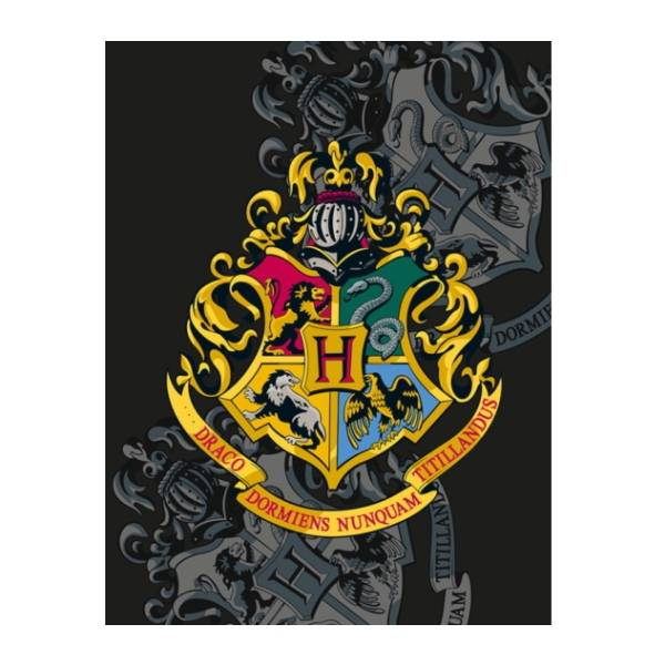 Harry Potter polár takaró – Roxforti házak (fekete)