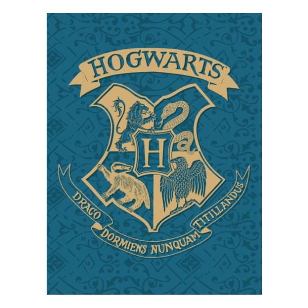 Harry Potter polár takaró – Roxforti házak (kék)