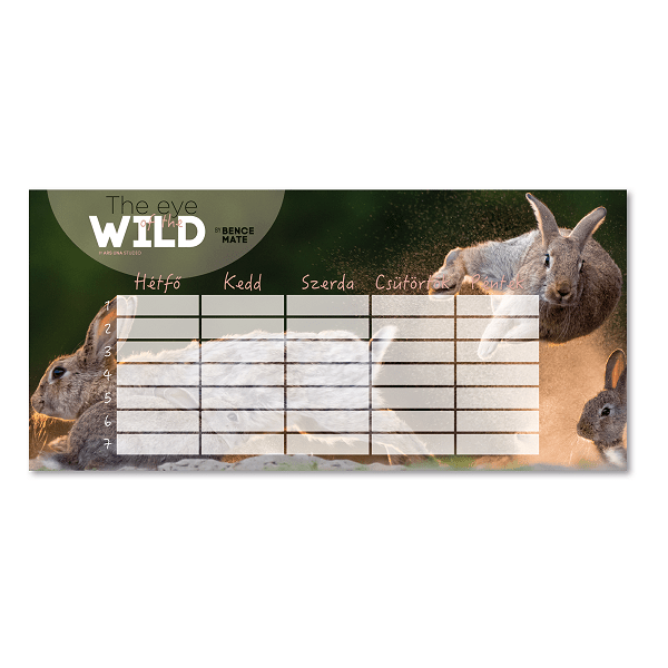 Ars Una órarend – The Eyes of the Wild – nyuszis