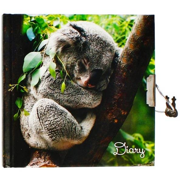 Koalás kulcsos napló