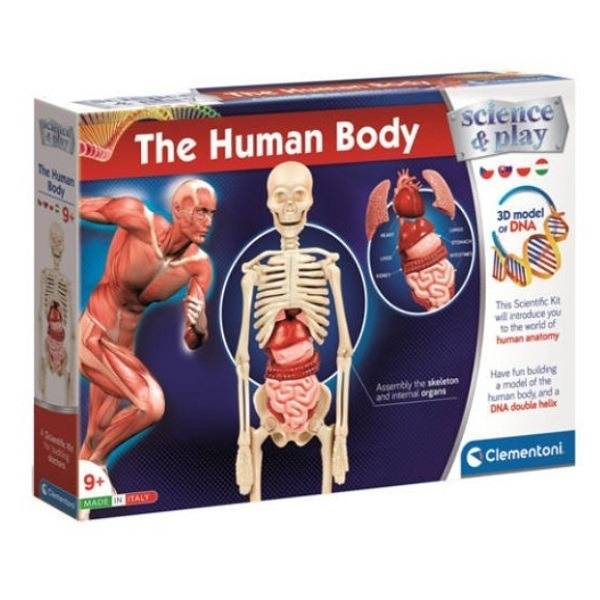 Clementoni Tudományos játék – Az emberi test
