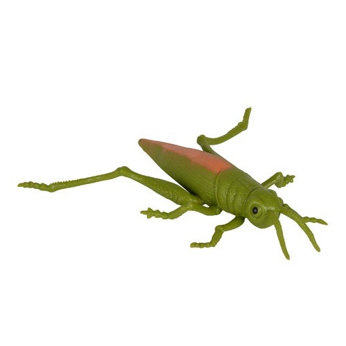 Sztreccs állat szöcske