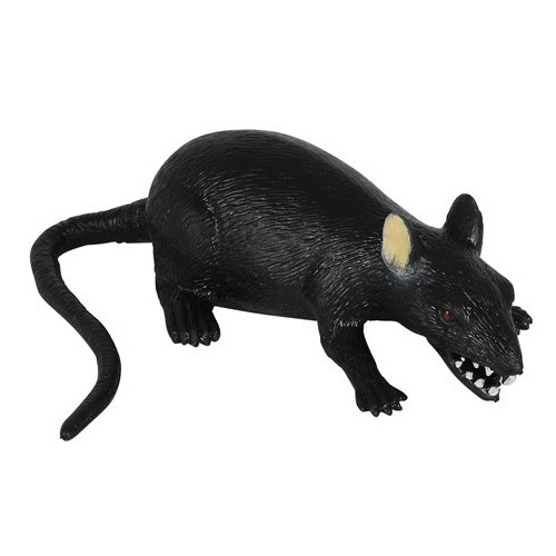 Sztreccs állat patkány