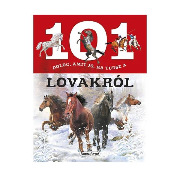 101 dolog, amit jó, ha tudsz a lovakról
