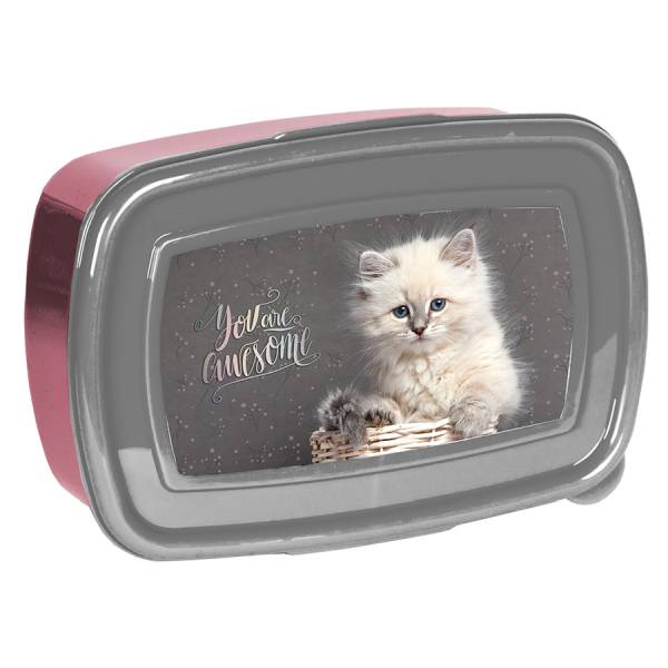 Paso Cicás uzsonnás doboz - Awesome