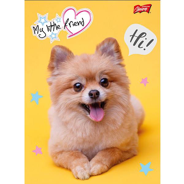 My Little Friend A5-ös kockás füzet 32 lapos – többféle