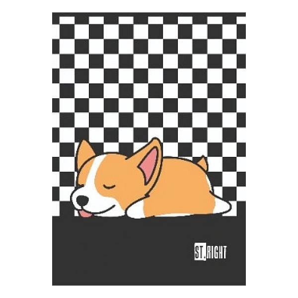 St. Right A4-es kockás füzet 32 lapos – kétféle