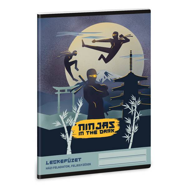 Ars Una leckefüzet – Ninjas in the Dark