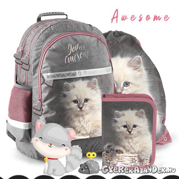 Paso Cicás iskolatáska, hátizsák SZETT – Awesome
