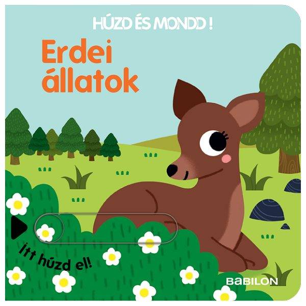 Húzd és mond: Erdei állatok