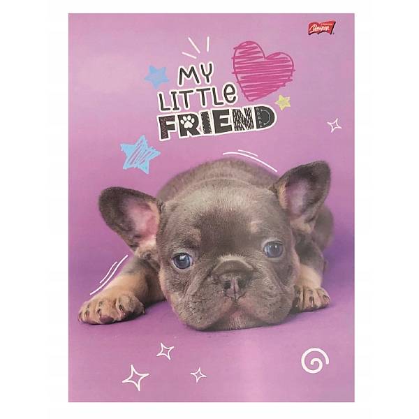 My Little Friend A4-es kockás füzet 32 lapos – kétféle
